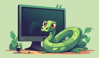 Дорожная карта для Python-разработчика